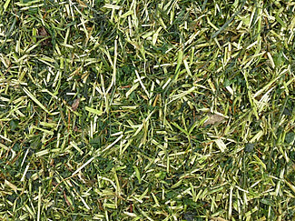 Kunstwiesenmulch, Nahaufnahme