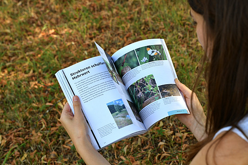 Im Vordergrund ist noch der Umriss einer Person zu sehen, im Fokus ist das Buch, in dem die Person blättert. Es zeigt Bilder und den Titel "Strukturen schaffen Mehrwert". 