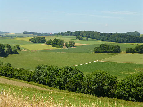 Grüne, hügelige Landschaft