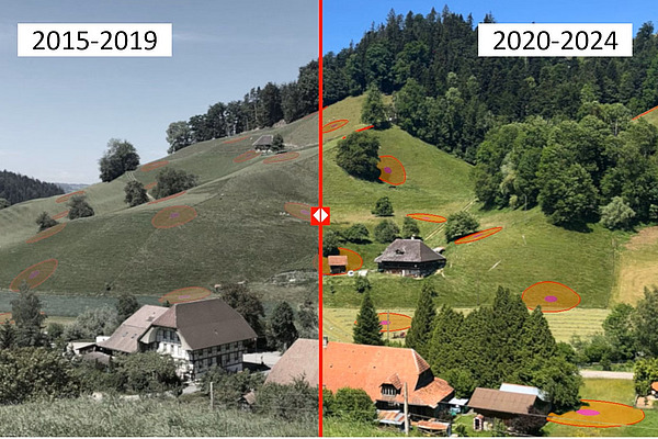 Aufnahme einer Agrarlandschaftsszenerie mit Bauernhäusern, Wiesen, Weiden und Wald in unterschiedlichen Jahren.