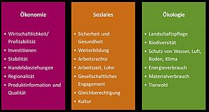 Stichworte zu den drei Säulen der Nachhaltigkeit Ökonomie, Soziales und Ökologie.