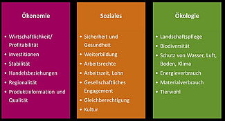 Stichworte zu den drei Säulen der Nachhaltigkeit Ökonomie, Soziales und Ökologie.