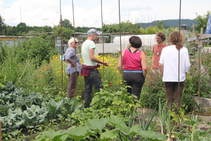 Eine Gruppe Menschen in der Diskussion in einem Garten.