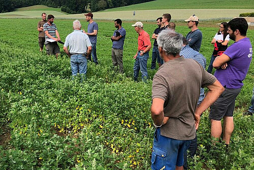 Etwa 12 Personen diskutieren in einem Feld 