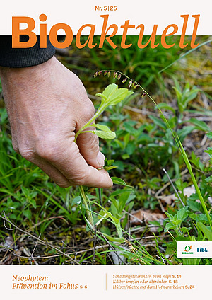 Titelseite Bioaktuell 5|25: Nahaufnahme einer Hand, die ein junges Berufskraut hält.