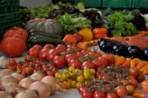 Biogemüse auf Tisch.