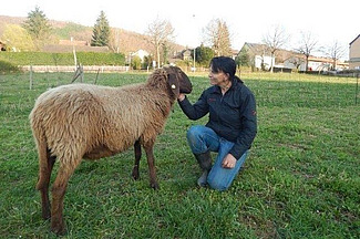 Eine knieende Frau mit einem Schaf, dessen Kopf sie streichelt.