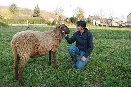 Eine knieende Frau mit einem Schaf, dessen Kopf sie streichelt.