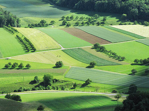 hügelige Landschaft, starkt parzelliert