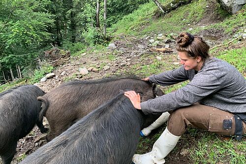 Eine Frau sitzt mit Schweinen auf dem Boden.
