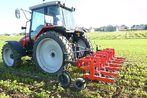 Hackgerät a im Einsatz auf Feld mit jungen Sojapflanzen