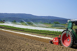 Traktor, der ein bewässertes Feld bewirtschaftet.