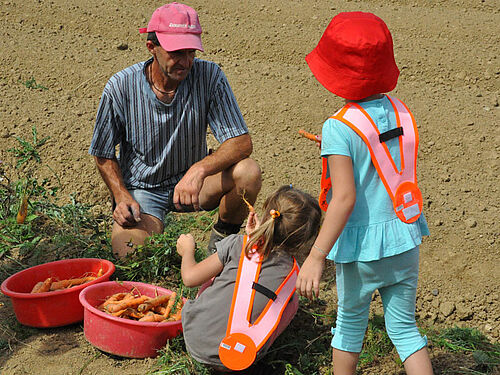 Kinder in einer Reihe vor einem Landwirten
Drei Kinder beobachten wachsende Karottenpflanzen von Nahem.
Fünf Kinder und dem Landwirt im Karottenfeld.
Ein Eimer voll Karotten, zwei Kinder und der Landwirt