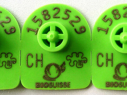 drei grüne Ohrmarken mit Nummer und Bio Suisse-Logo