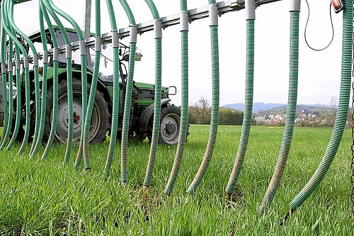 Ein Traktor zieht einen Schleppschlauch über ein grünes Feld 