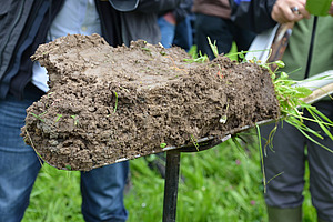 Im Vodergrund ist ein Spaten mit einem ausgestochenen Stück Erde zu sehen, im Hintergrund sind Menschen angedeutet, allerdings nur unvollständig. 