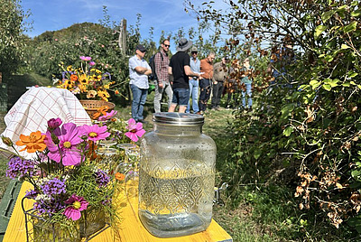 Besuch der Agroforstanlage BioDiVerger.