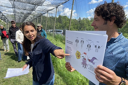 Roxane Muller steht in der Kirschenanlage und erklärt die Koevolution von Blüte und Insekt.