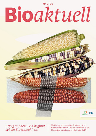 Titelseite Bioaktuell 2|26: Verschiedene Maiskolben-Sorten.