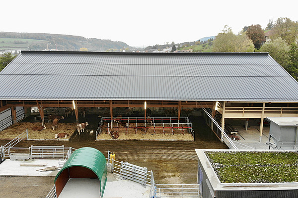 Luftaufnahme des FiBL-Freilaufstalls.