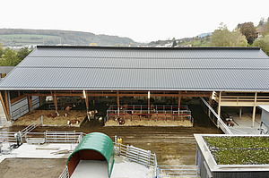 Luftaufnahme des FiBL-Freilaufstalls.