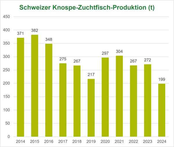 Produktion Schweizer Knospe-Zuchtfisch