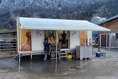 Geflügelschlachtmobil.