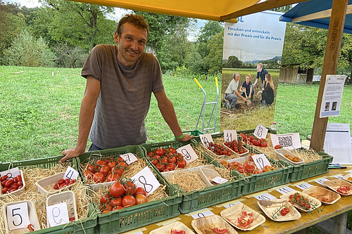 Ein Mann an einem Marktstand mit Tomaten zur Degustation. 