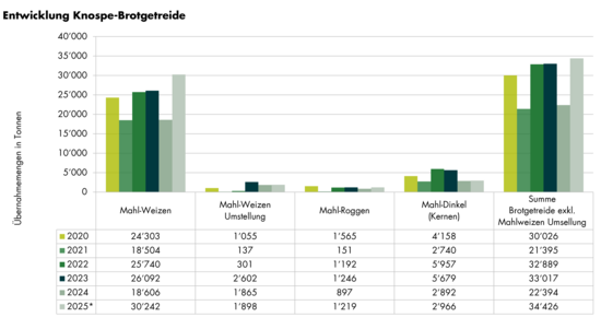 Grafik Entwicklung Übernahmemengen Knospe-Brotgetreide 2024