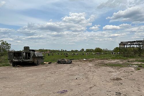 Im Hintergrund eine Wiese mit Kühen, im Vordergrund ein zerstörter Panzer und das Gerüst eines Hauses.