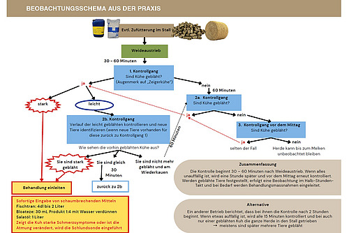 Eine Grafik zur Entscheidfindung bei Blähungen. 
