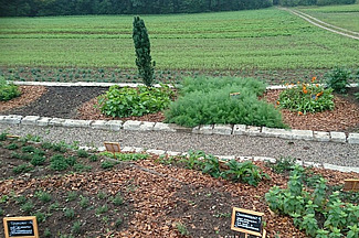 Kräutergarten Alpfelenhof Attliswil