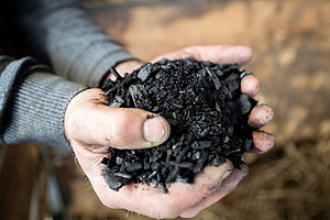 Nahaufnahme von zwei Händen, die Pflanzenkohle halten.