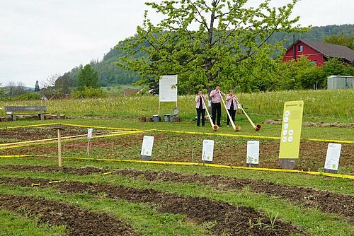 drei Alphornbläser in Garten mit teilweise runden Beeten