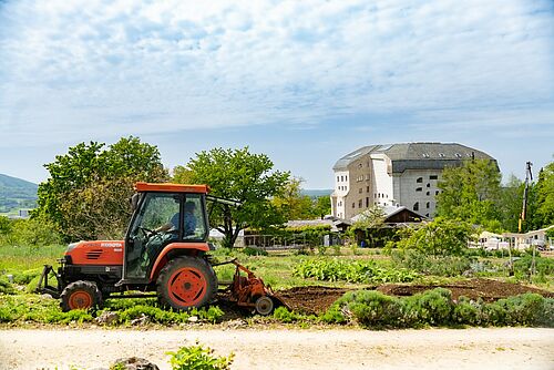 Traktor bearbeitet ein Feld, im Hintergrund Gebäude des Goetheanums.