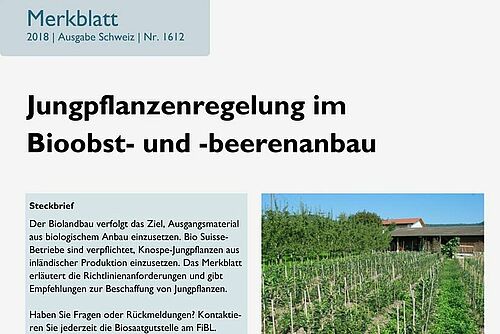 Titelseite Merkblatt Jungpflanzenregelung