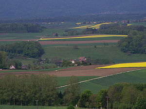 Landschaft des Kantons Waadt zurzeit der Rapsblüte. Man sieht u A gelbblühende Rapsfelder, frisch gepflügte Felder, wachsende Getreidefelder, Hecken, Feldgehölze.