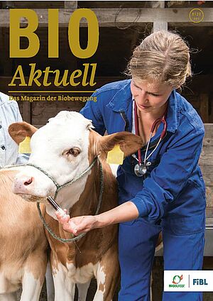 Titelseite Bioaktuell 8|2020, FiBL-Mitarbeiterin Hannah Ayrle gibt einem Kalb Echinacea-Tinktur ins Maul mittels Spritze.