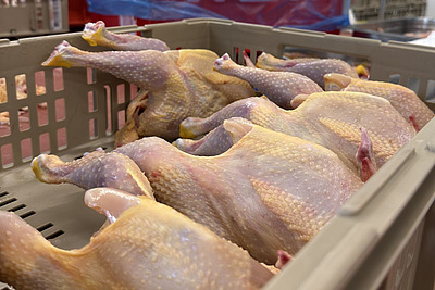 Poulet in einer Kiste.