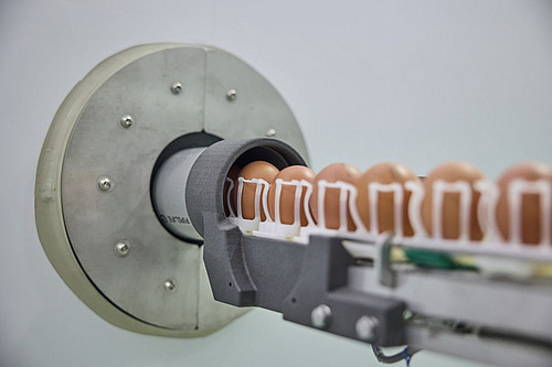 Automatisiertes In-ovo-Verfahren zur Geschlechtsbestimmung im Ei: Eier werden auf einem Förderband durch ein MRT-basiertes Scansystem transportiert, das eine Selektion bereits während der Brut ermöglicht und als Alternative zur Aufzucht aller Küken diskutiert wird.