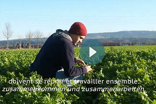 Junger Mann in der Hocke in Gemüsefeld