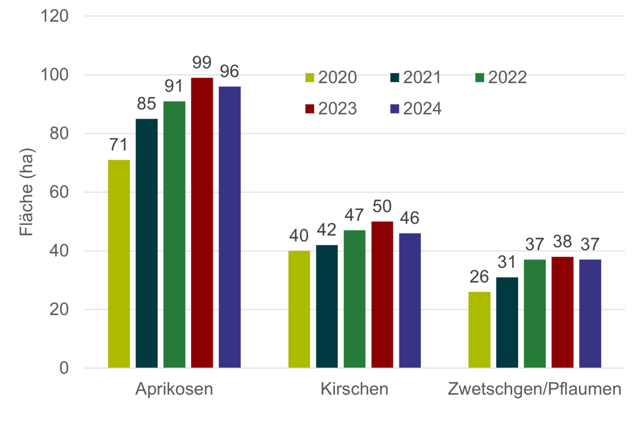Grafik Flächenentwicklung Obstanlagen Steinobst.