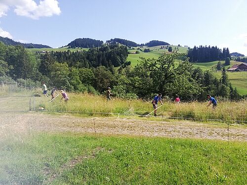 Menschen mit Sensen auf einer Wiese