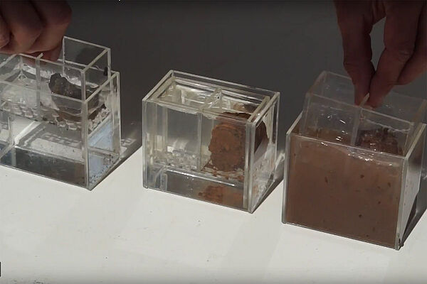 drei durchsichtige Kästchen mit Wasser und Erdschollen