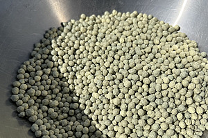 In einer Schüssel sind grünliche kleine Körner zu sehen. 