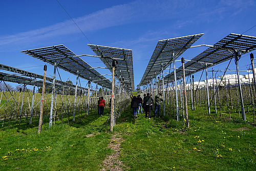Eine Obstanlage überdeckt mit Photovoltaik-Elementen, inmitten der Anlage einige Personen. 