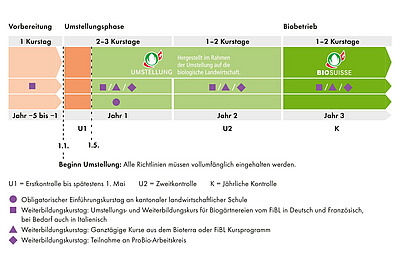 Grafik mit einer Übersicht der obligatorischen Kurstage je Umstellungsjahr.