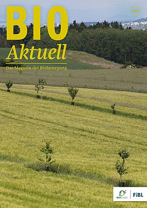Titelseite Bioaktuell 1|24: Wiesen/Felder mit einzelnen jungen Bäumen