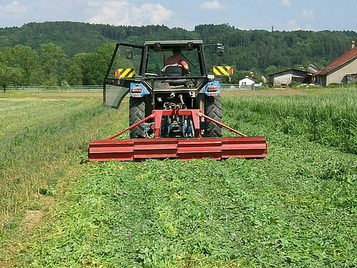 Messerwalz im Einsatz in einer Gründüngung