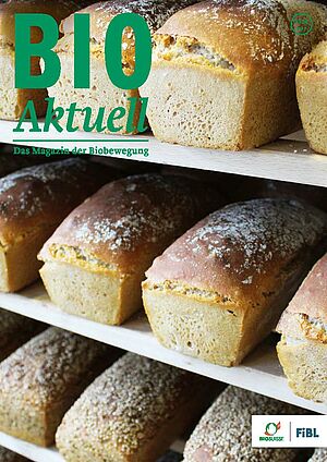 Titelseite Bioaktuell 2|2021: Fertig gebackene, cakeförmige Brote in einem Gestell.
